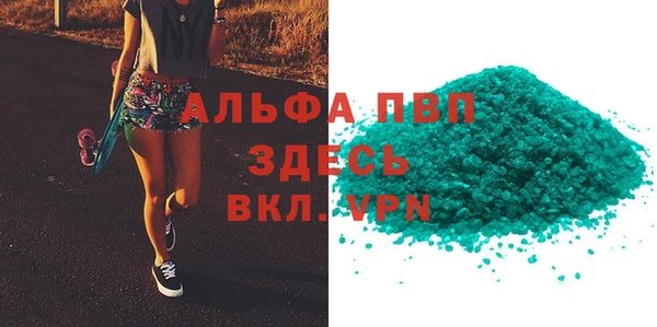 индика Белоозёрский